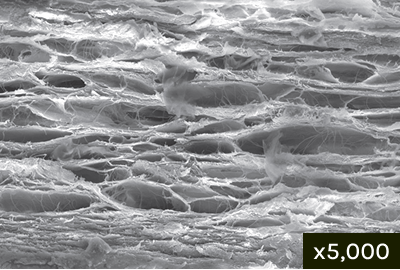 Micropore